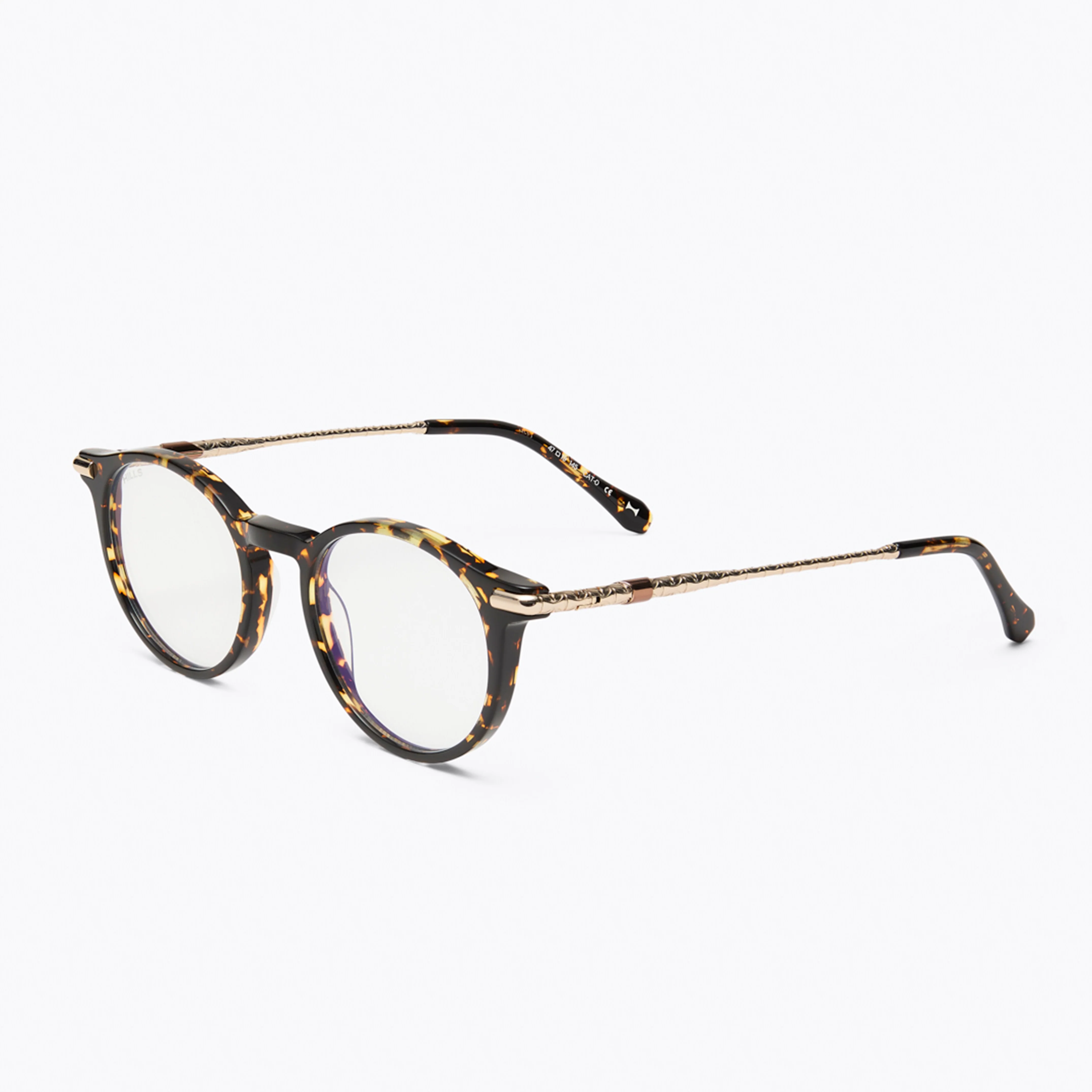 H1 Roland Tortoise - Image 4