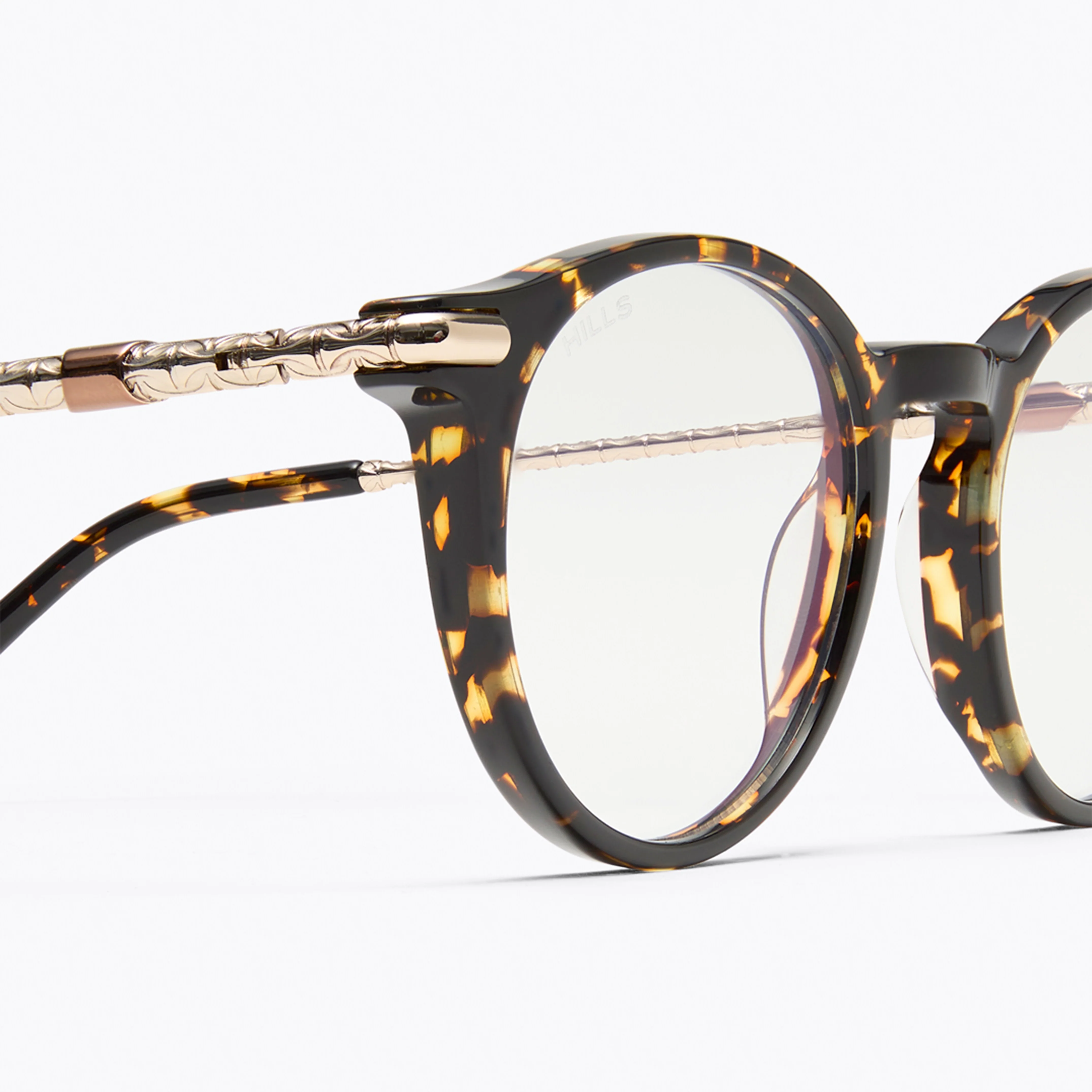 H1 Roland Tortoise - Image 5