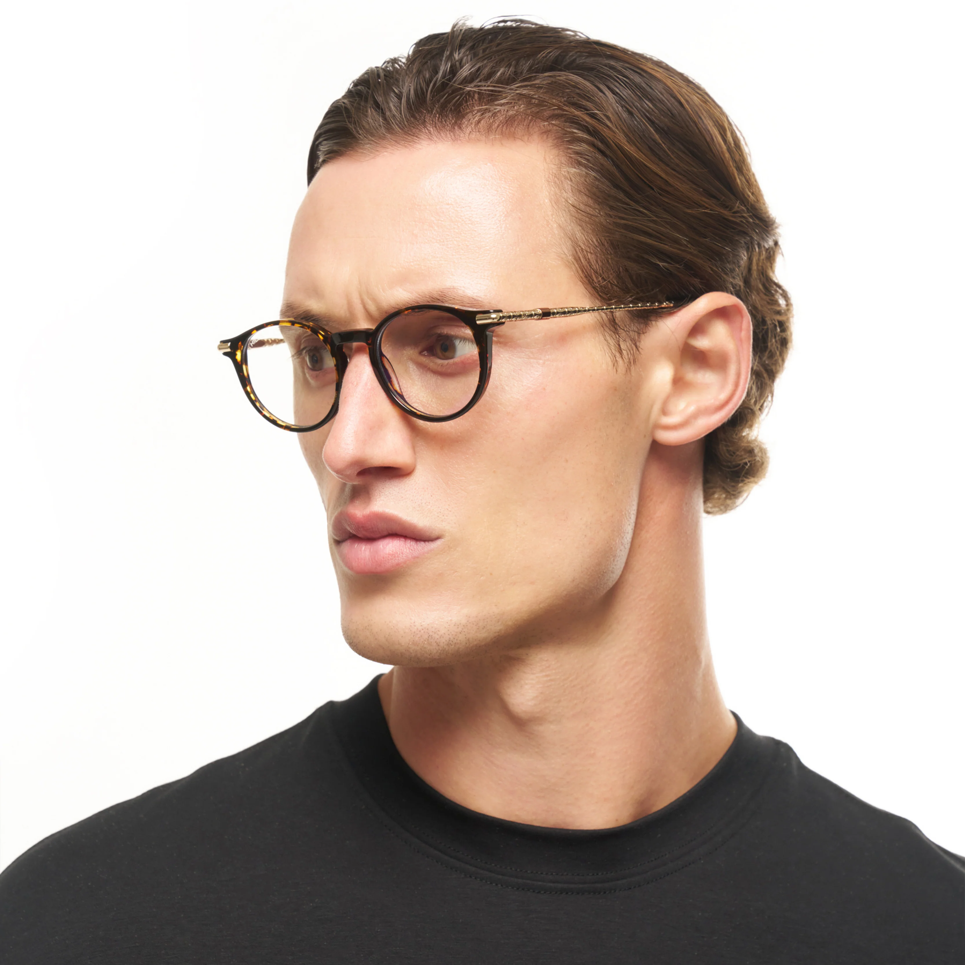 H1 Roland Tortoise - Image 6